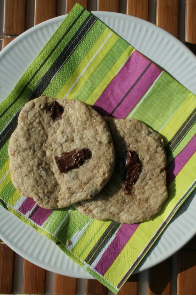 choc chip cookie